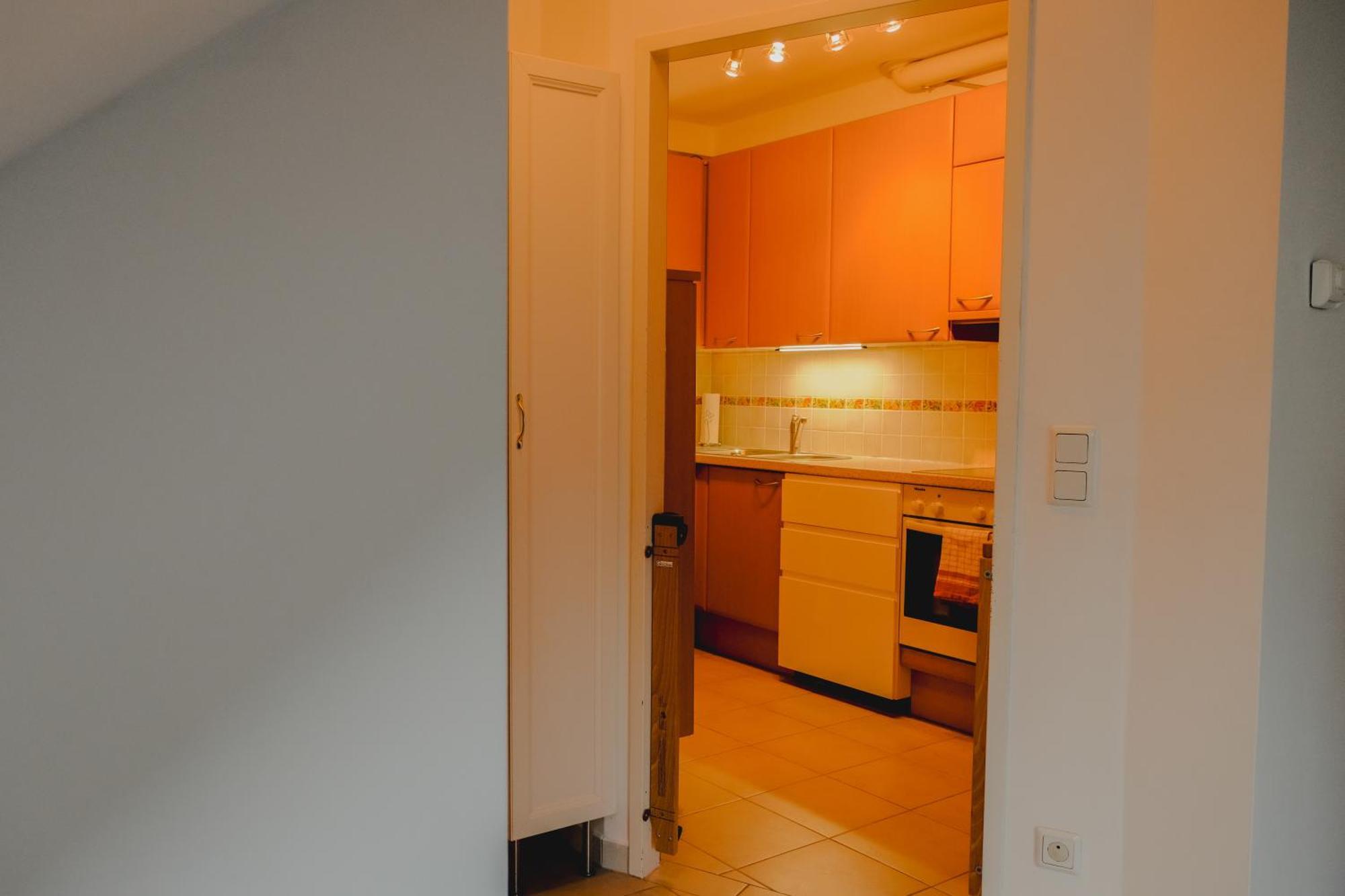 Terrace Apartment Near Volksoper And City Centre Вена Экстерьер фото